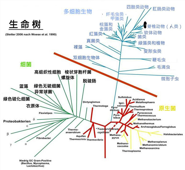 人口生态学_人口生态学(3)